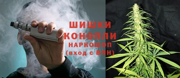 амф Сосновка
