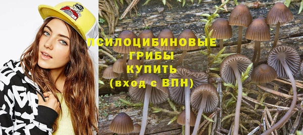 кокаин премиум Краснослободск