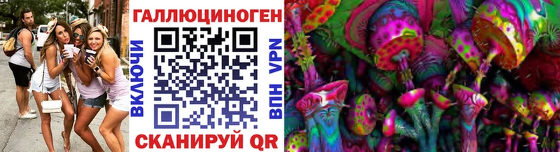 OMG   Циолковский  Псилоцибиновые грибы мицелий 