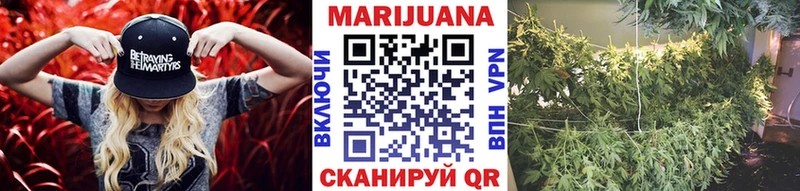 закладки  Циолковский  Марихуана Ganja 
